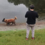 Group logo of Humanity Augmentation Shaman